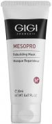 MesoPro Rebuilding Mask